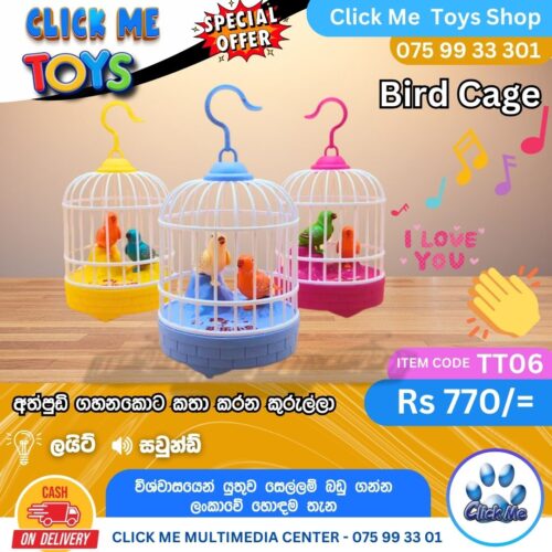 Bird Cage